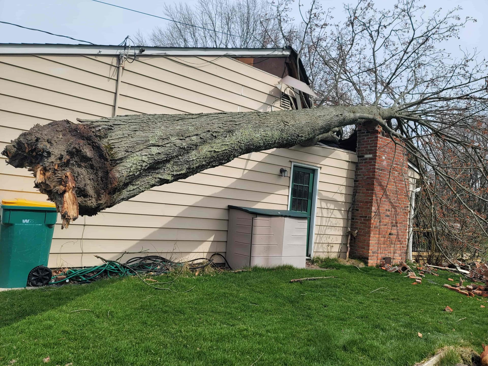 Emergency storm response — large tree fallen through house roof
